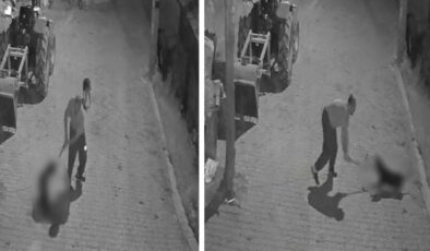 Köpeği demir sopayla döverek öldürdü