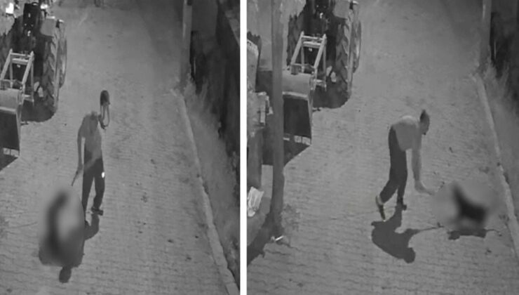 Köpeği demir sopayla döverek öldürdü