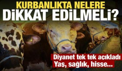 Kurbanlıkta yaş, sağlık ve hisse şartı! Diyanet açıkladı: İşte 5 kritik kural
