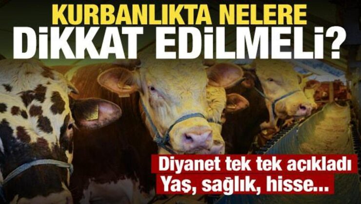 Kurbanlıkta yaş, sağlık ve hisse şartı! Diyanet açıkladı: İşte 5 kritik kural