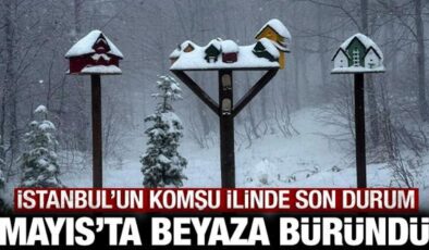 Mayıs ayında beyaza büründü: İstanbul’un komşu ilinde durum bu!