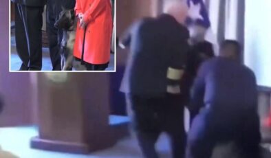Narkotik köpeği mezuniyet töreninde tümamirale saldırdı, "Cebinde ne vardı" sorusu ülkeyi karıştırdı
