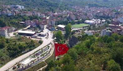 Ordu’da görülmemiş nüfus teşviki: 10 çocuk yapana araç hediye