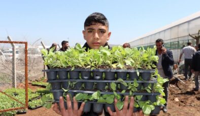 Şanlıurfa’da üreticiye dev destek