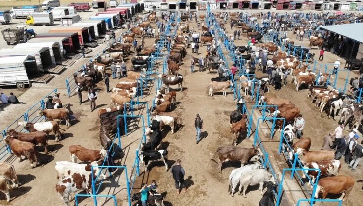Trabzon’da acı olay: Kurban keserken kalp krizi geçiren kişi yaşamını yitirdi