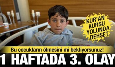 Van’da bir hafta arayla 3’üncü köpek saldırısı: Yasa var, uygulayan yok…