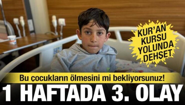 Van’da bir hafta arayla 3’üncü köpek saldırısı: Yasa var, uygulayan yok…