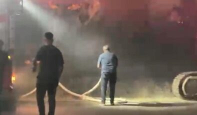 Ayvalık’ta fıstık çamı arazisinde çıkan yangın ormana sıçradı