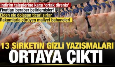 Beyaz et karteline operasyon: Kayyum atanan 13 şirketin gizli yazışmaları raporlarda!