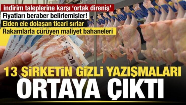 Beyaz et karteline operasyon: Kayyum atanan 13 şirketin gizli yazışmaları raporlarda!