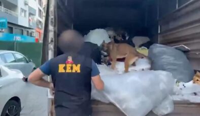 İzmir’de zehir tacirlerine darbe: 371 kilogram uyuşturucu ele geçirildi