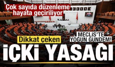 Meclis’te yoğun gündem! Çok sayıda düzenleme yer alıyor! Dikkat çeken içki yasağı