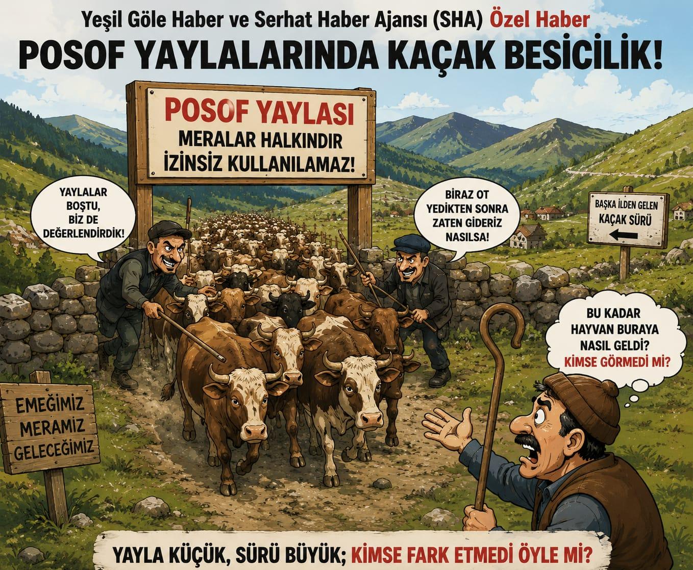 ÖZEL HABER | POSOF YAYLALARINDA KAÇAK HAYVAN KRİZİ