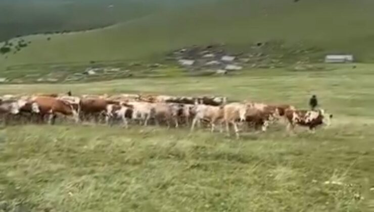 ÖZEL HABER : POSOF’TAKİ YAYLA KRİZİNDE YENİ İDDİALAR