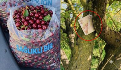 Tartışma yaratan fotoğrafla ilgili gerçek ortaya çıktı