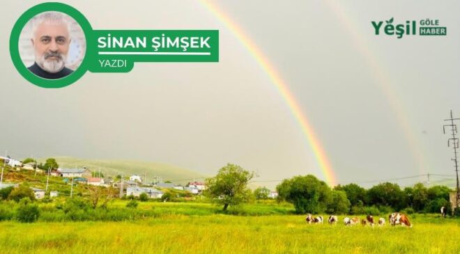 GÖLE İLİÇ OLMASIN: BİR UYARI,BİR ÇAĞRI,BİR SORUMLULUK