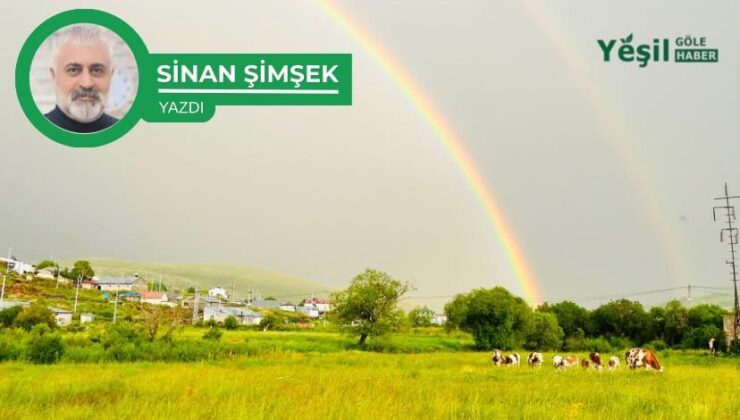 GÖLE İLİÇ OLMASIN: BİR UYARI,BİR ÇAĞRI,BİR SORUMLULUK