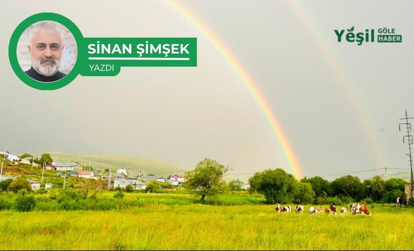 GÖLE İLİÇ OLMASIN: BİR UYARI,BİR ÇAĞRI,BİR SORUMLULUK