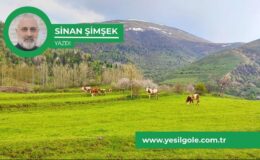 Ardahan’ın Teşvik Çilesi