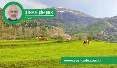 Ardahan’ın Teşvik Çilesi