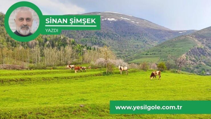 Ardahan’ın Teşvik Çilesi