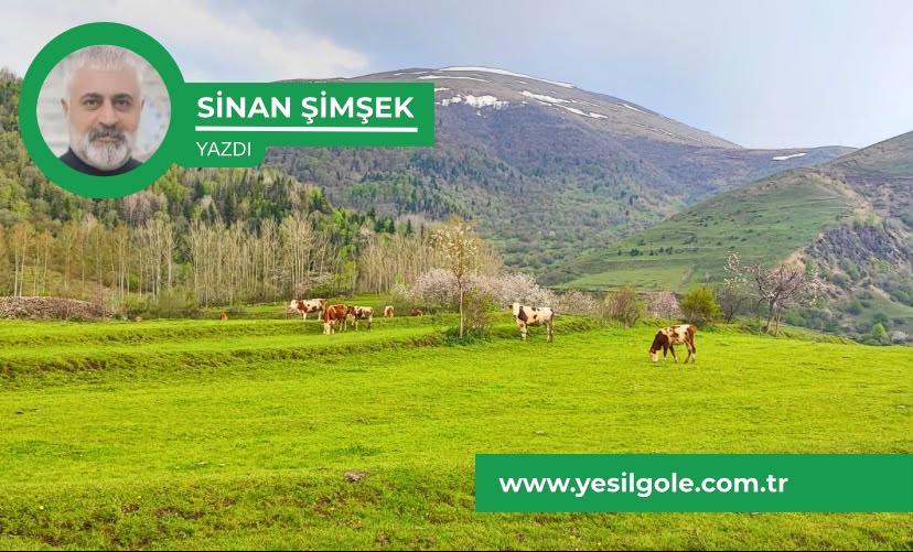 Ardahan’ın Teşvik Çilesi